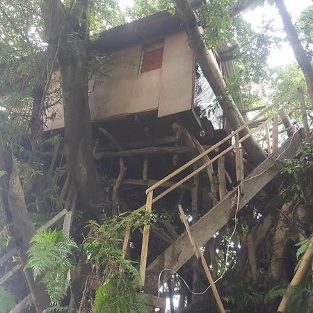 Castle Tree House And Bungalow White Sands Rom bilde