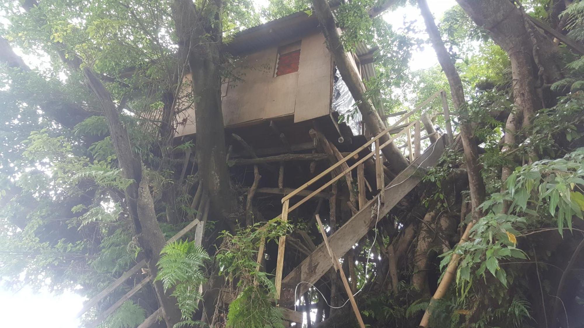 Castle Tree House And Bungalow White Sands Rom bilde