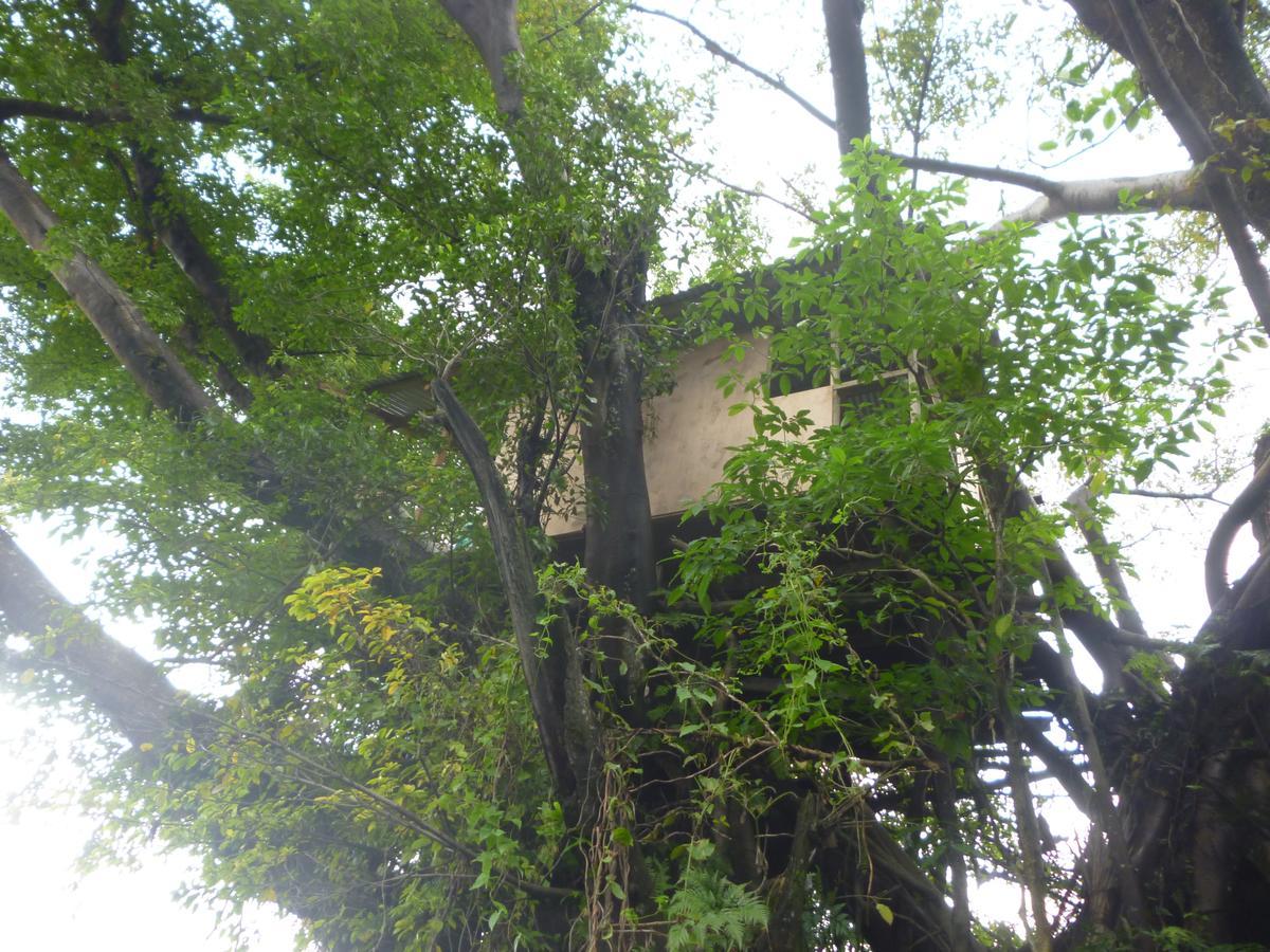 Castle Tree House And Bungalow White Sands Eksteriør bilde